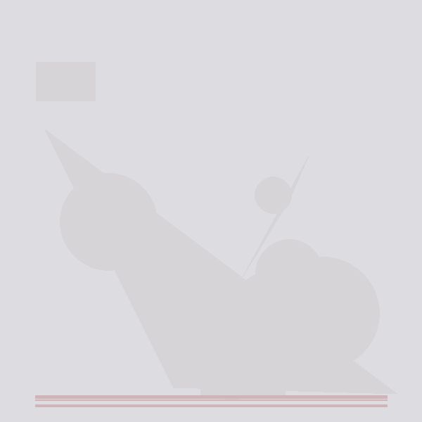 Беспроводное зарядное устройство Ralink DUWHWM1-620